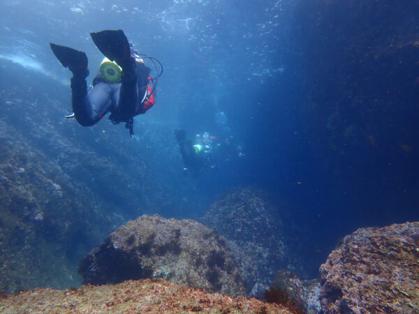 ダイビング　熱海